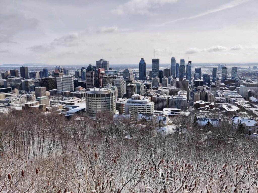 Would You Trade Montreal Winters for the Egyptian Sun?