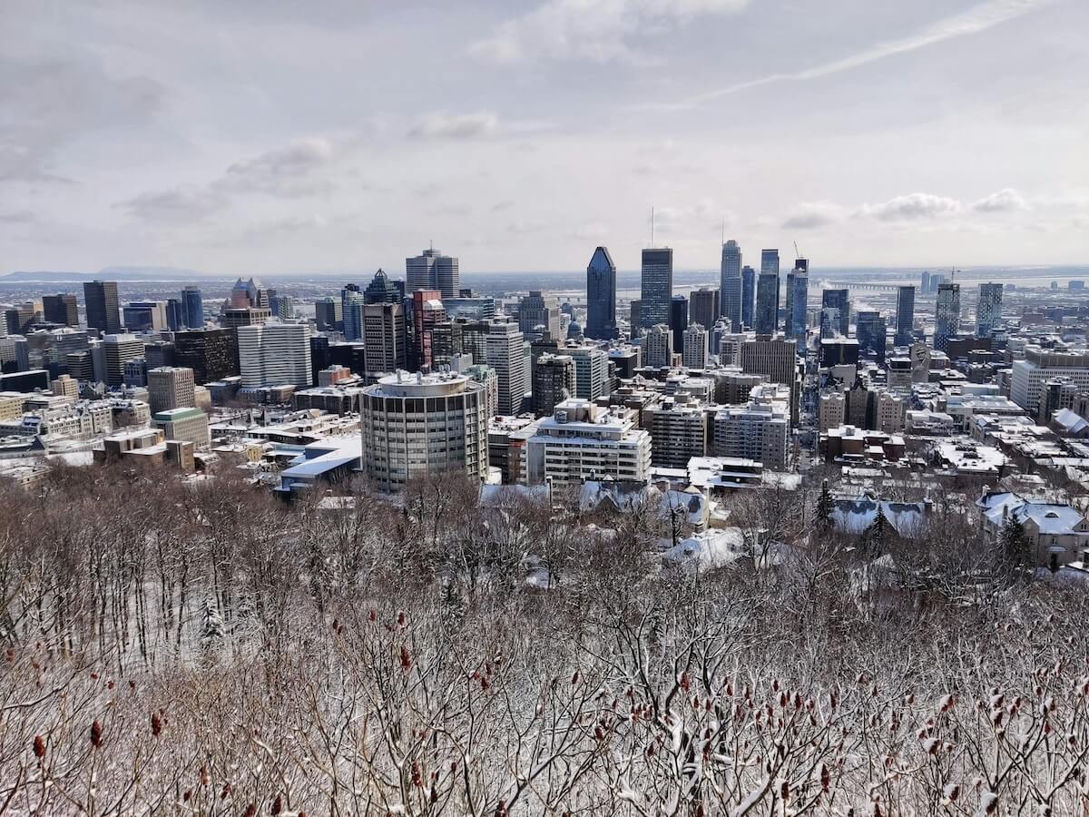 Would You Trade Montreal Winters for the Egyptian Sun?